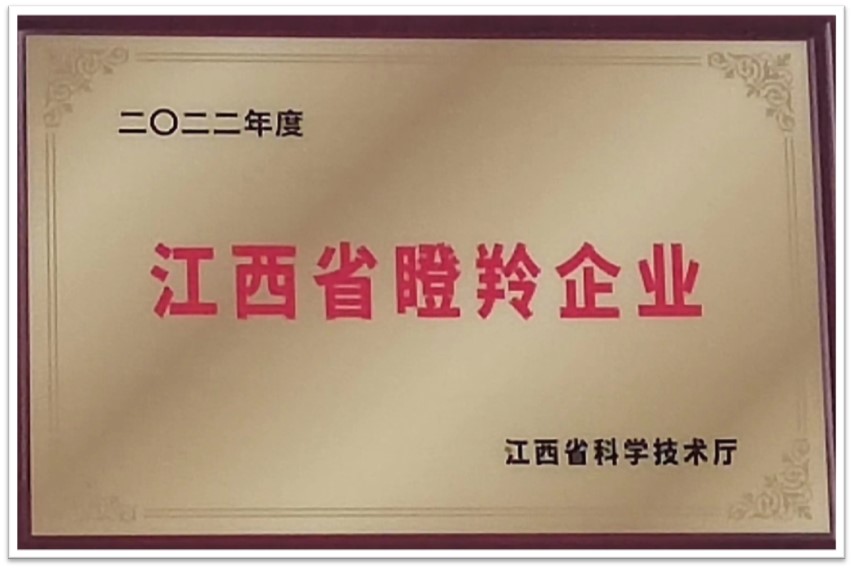 江西省瞪羚企業(yè)